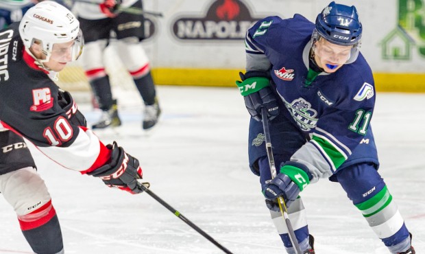 Second-year player Elijah Brown is battling for an increased role with the Thunderbirds (Brian Lies...