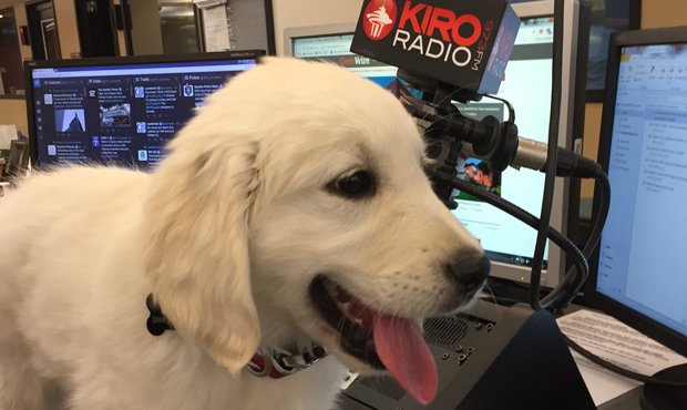 This is Jim Moore's dog River, back when he was a puppy. (Jim Moore photo)...