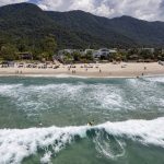 In the rainforest’s shadow, Brazilian surf capital blossoms