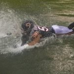 Fields throws 2 TDs, Bears top 49ers 19-10 in Eberflus debut