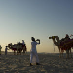 World Cup frenzy puts strain on Qatar's camels