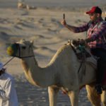 World Cup frenzy puts strain on Qatar's camels