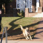 Suspect caught in fatal shooting of 3 U.Va. football players