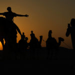 World Cup frenzy puts strain on Qatar's camels