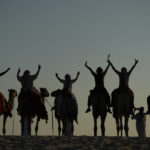 World Cup frenzy puts strain on Qatar's camels