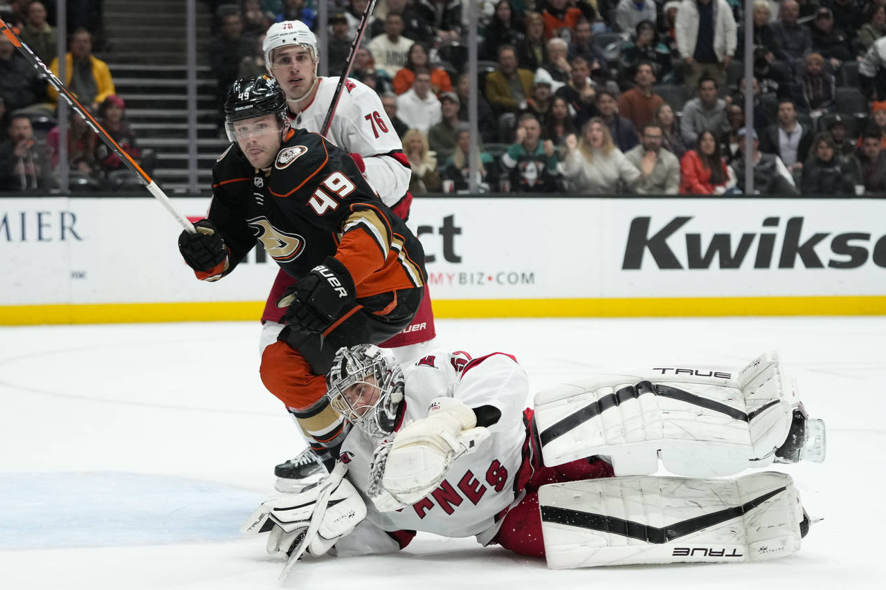Carolina Hurricanes goaltender Pyotr Kochetkov (52) falls to the ice as Anaheim Ducks' Max Jones (4...