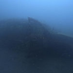 AP PHOTOS: World Cup fans explore Qatar's artificial reefs