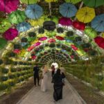AP PHOTOS: Qatar bustles with life as World Cup nears end