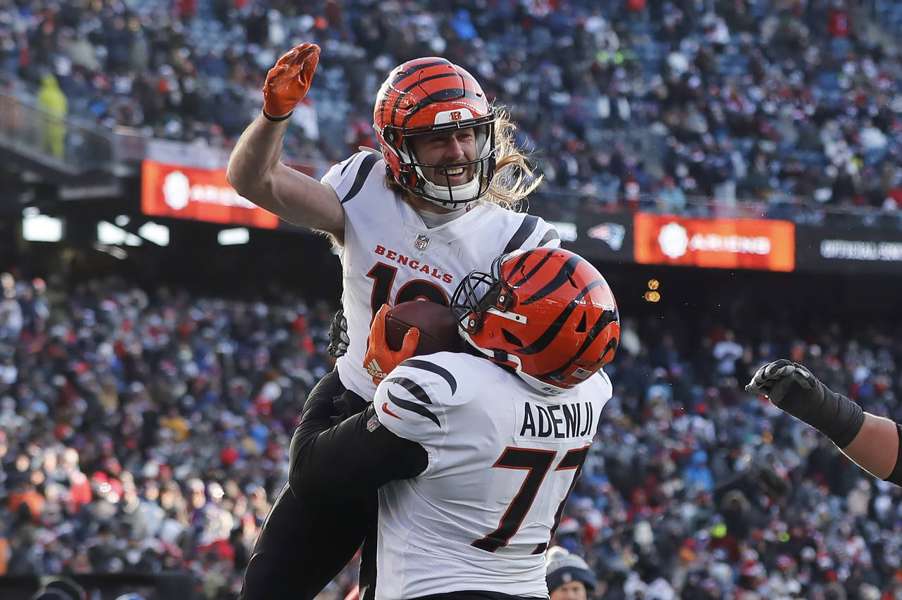 Cincinnati Bengals wide receiver Trenton Irwin, top, celebrates his touchdown with Cincinnati Benga...