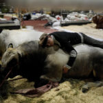 AP Year in Pictures: A vibrant Latin America and Caribbean