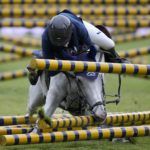 AP Photos: In 2022, sports brought every imaginable emotion