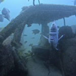 AP PHOTOS: World Cup fans explore Qatar's artificial reefs