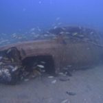 AP PHOTOS: World Cup fans explore Qatar's artificial reefs