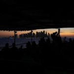 AP PHOTOS: Camels a common sight for World Cup visitors