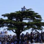 Millions jam Buenos Aires streets to celebrate World Cup win
