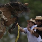 AP Photos: In 2022, sports brought every imaginable emotion