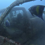 AP PHOTOS: World Cup fans explore Qatar's artificial reefs
