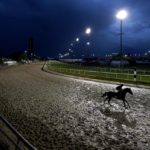 AP Photos: In 2022, sports brought every imaginable emotion