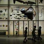 AP PHOTOS: Qatar bustles with life as World Cup nears end