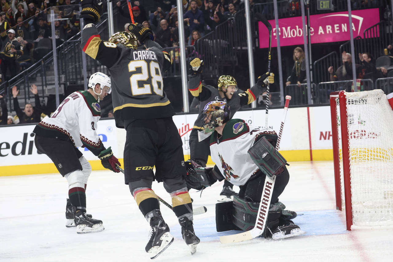 Arizona Coyotes goaltender Karel Vejmelka (70) gives up a goal to the Vegas Golden Knights during t...