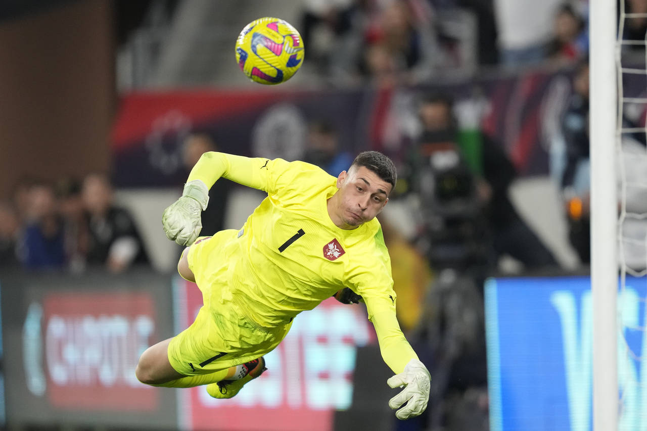 Serbia goalkeeper Dorde Petrović (1) stops a shot during the first half of an international friend...