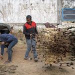 AP PHOTOS: Archery tradition thrives in northeast India