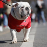 Georgia celebrates back-to-back titles with another parade