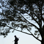 Rahm 2 back of Ryder at Torrey in bid for 3rd straight win