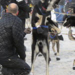 "A little scary:" Iditarod begins with smallest field ever