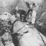 Bill to set annual remembrance for Marshall plane crash