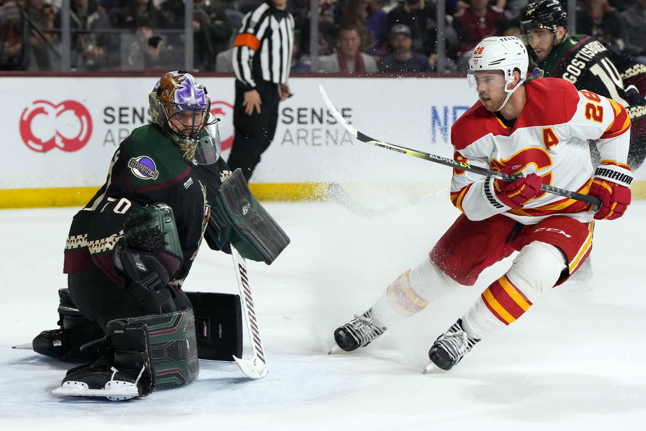 Arizona Coyotes goaltender Karel Vejmelka (70) makes a save on Calgary Flames center Elias Lindholm...