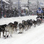 "A little scary:" Iditarod begins with smallest field ever
